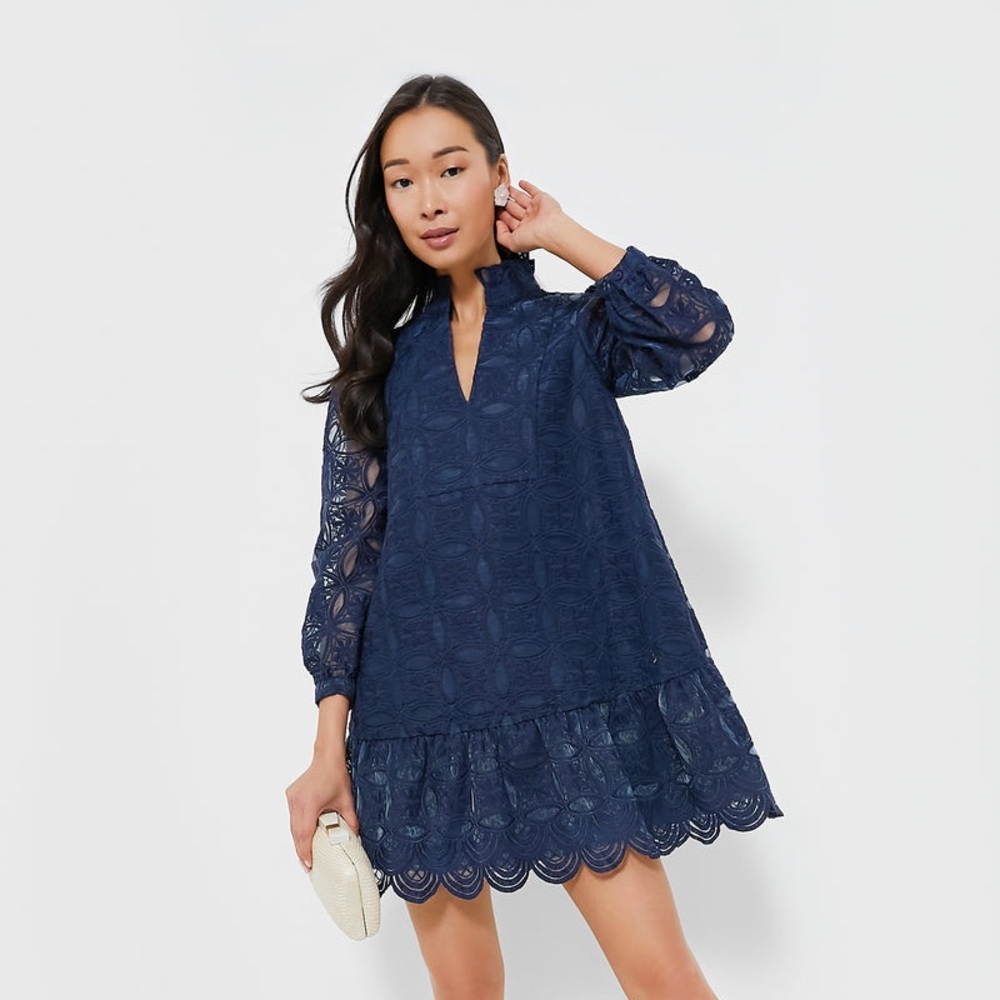 Tuckernuck Navy Organza Palmerston Dress Sz M